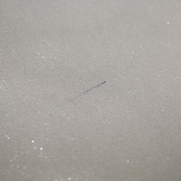 Coach Poppy Glitter Glam Daisy Tote - Picture 9 of 9